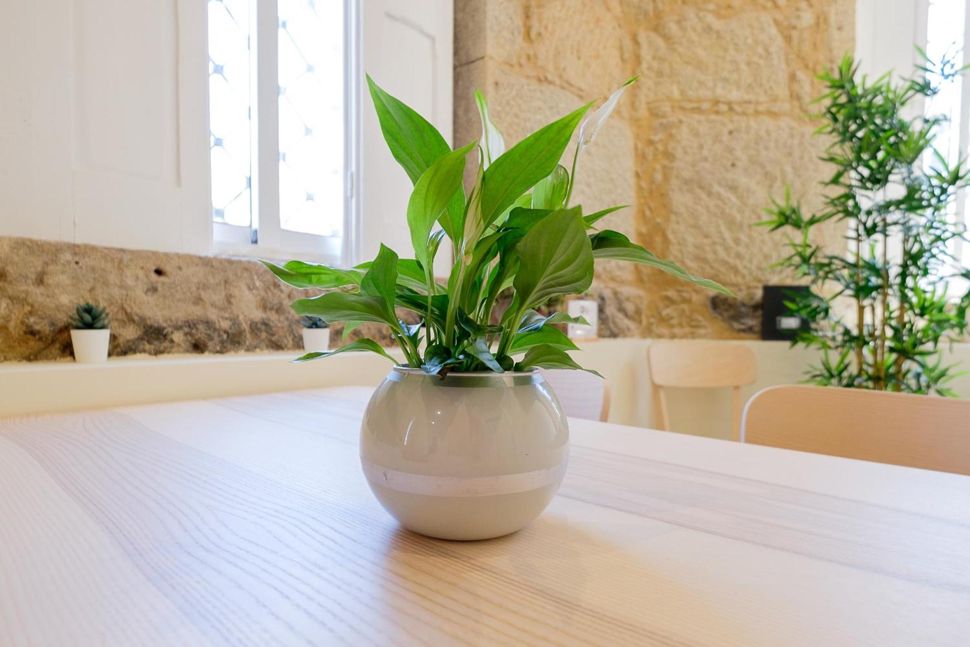 فيلا Portocasa المظهر الخارجي الصورة